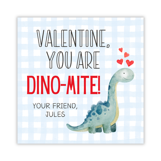 valentines gift tag with blue gingham background and watercolor dinosaur, you are Dinomite, ShooFly Paper Co. Auburn, Alabama